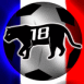 France: Panthère n°18 et ballon